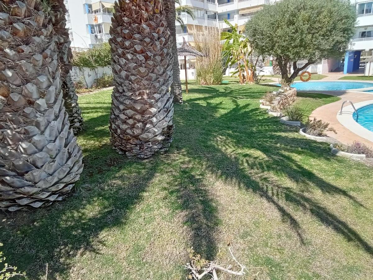 Apartamento La Nina, La Playa Paraiso A 100 Mts. فيياخويوسا المظهر الخارجي الصورة